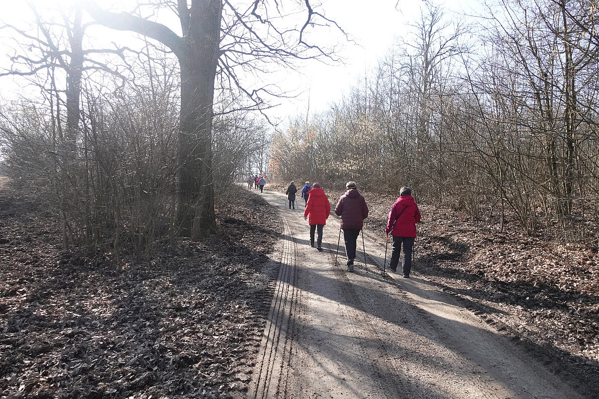 2026 Wanderung im Hochleithenwald - und endlich scheint die Sonne