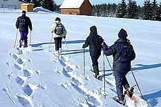 Schnee, Schneeschuhe, Berge