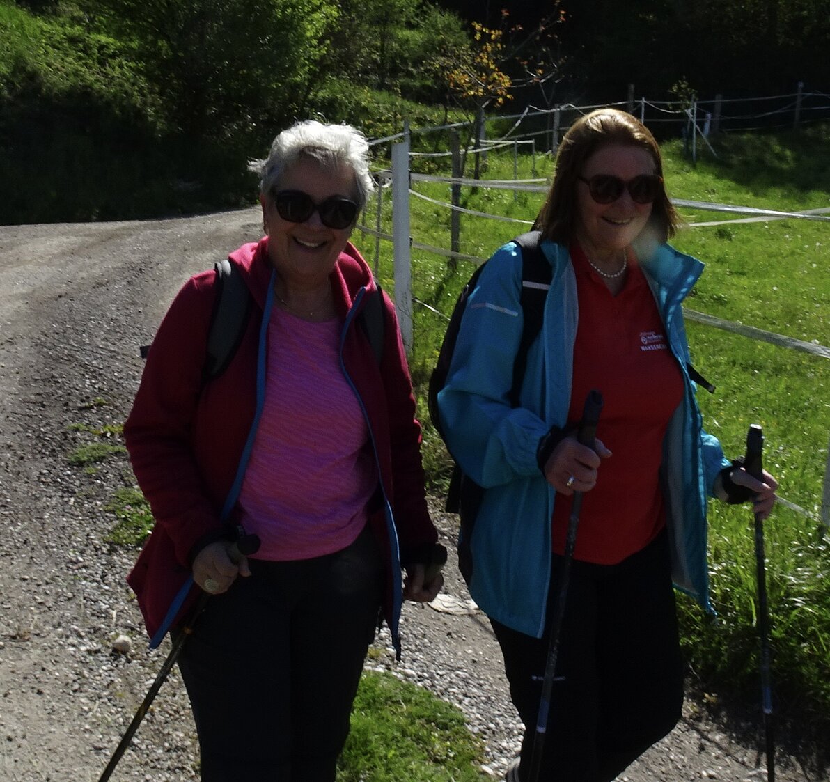 Drau Auen Wanderung
