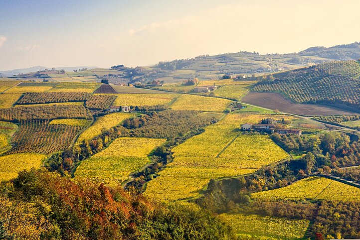 Piemont