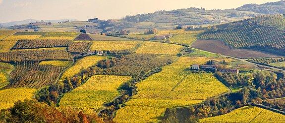Piemont