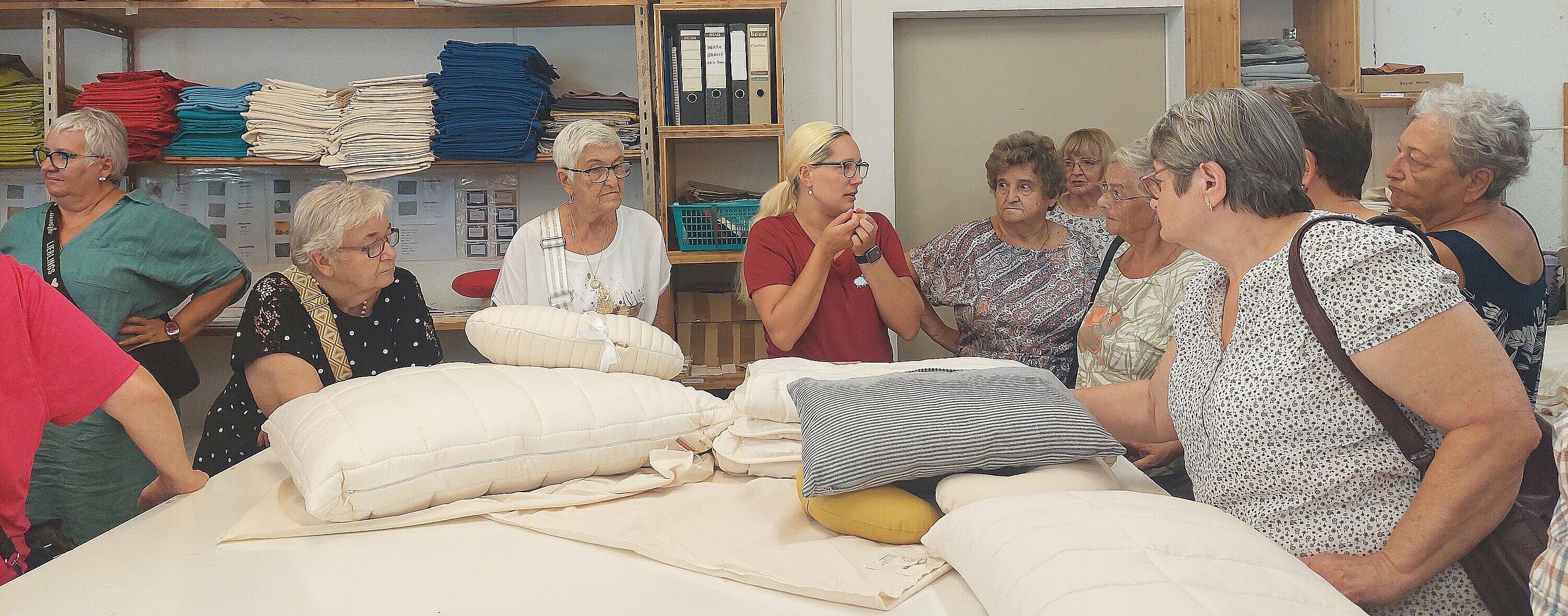 UG0225_NOE_BN_Traiskirchen_Wollwerkstatt