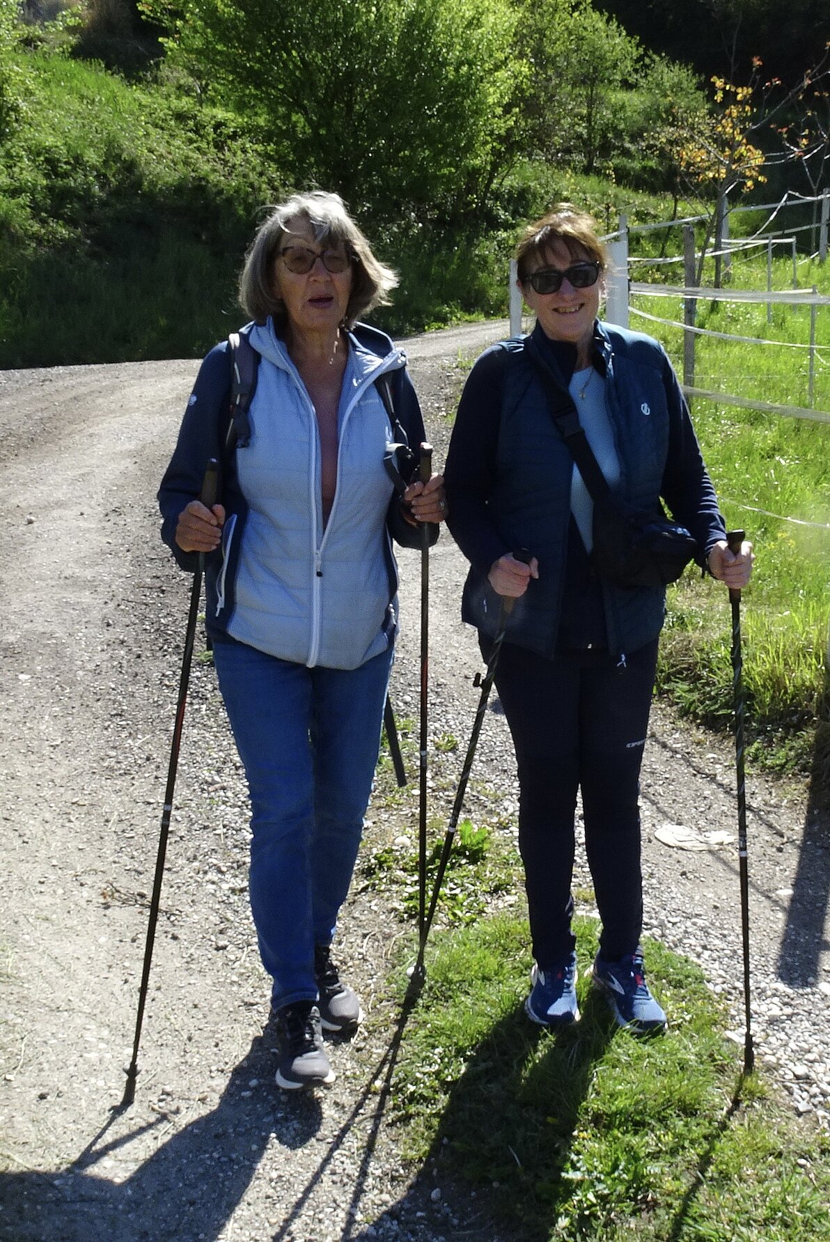 Drau Auen Wanderung