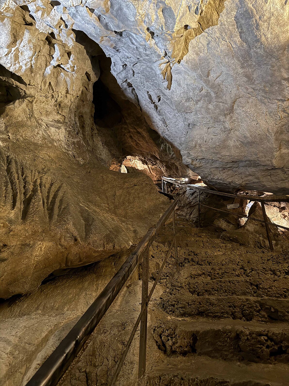 Tagesausflug Dirndlmanufaktur Fuxsteiner und Nixhöhle 2025