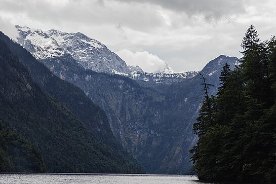 Königsee