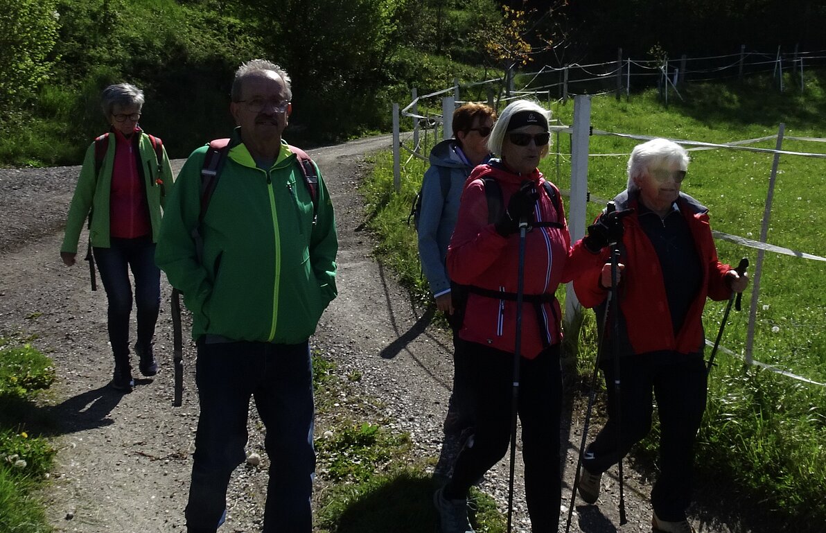 Drau Auen Wanderung