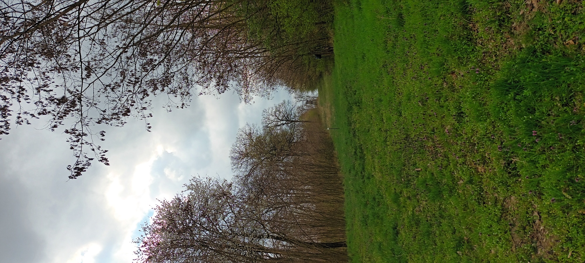 Wanderung im Hochleithenwald