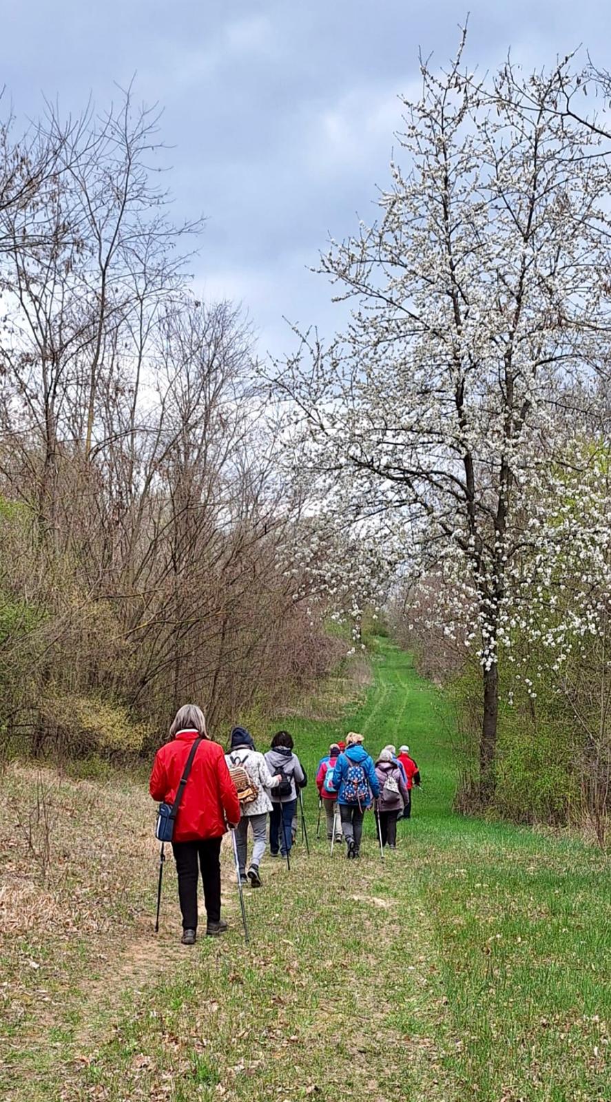 Frühlingswanderung im Hochleithenwald 2025
