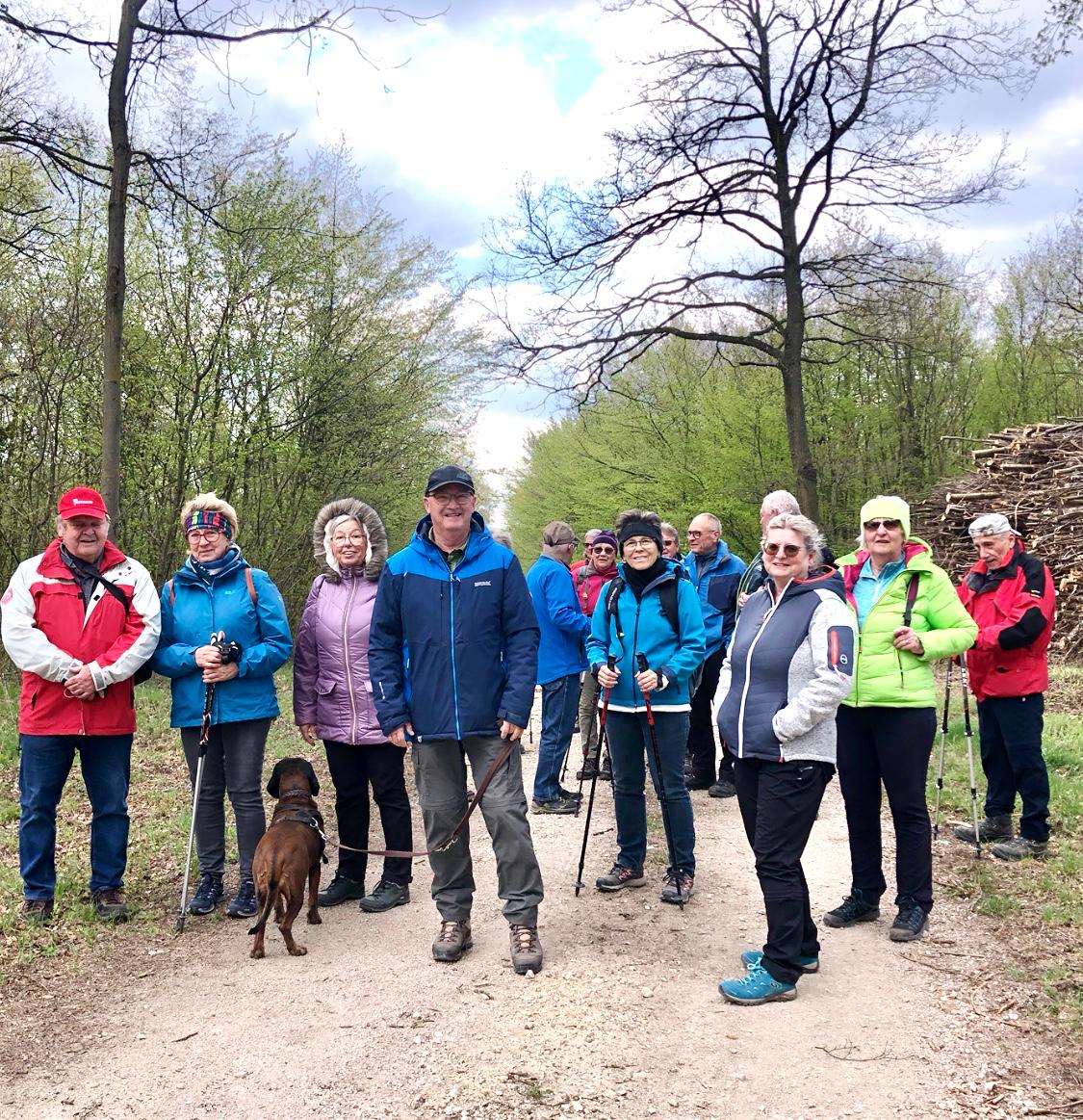 Frühlingswanderung im Hochleithenwald 2025