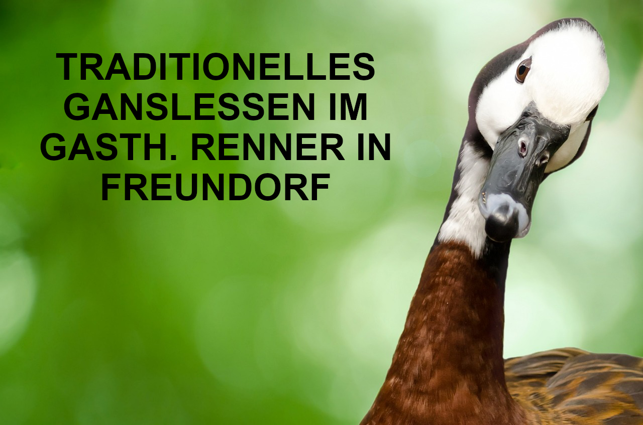 Einladung zum Ganslessen Einladung zum Ganslessen