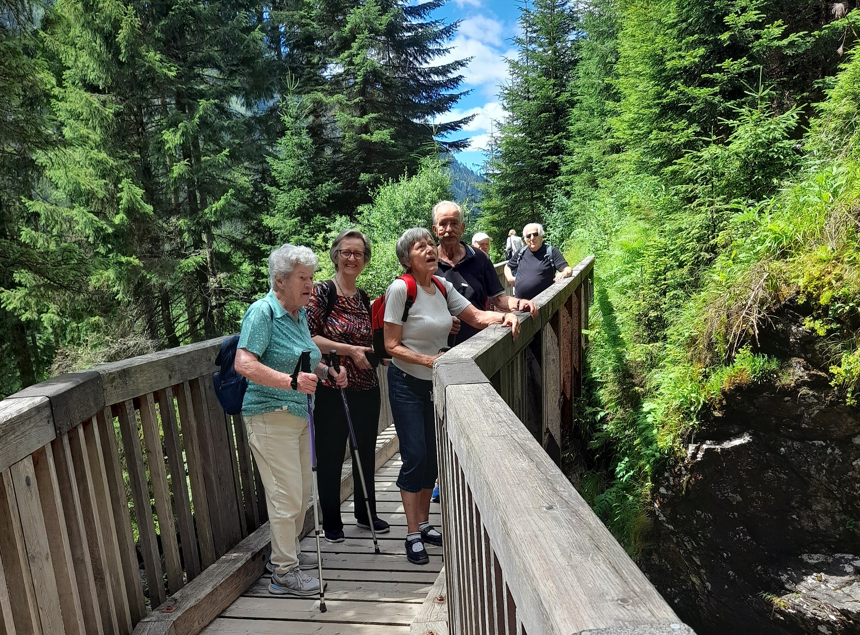Brücke Riesachwasserfall
