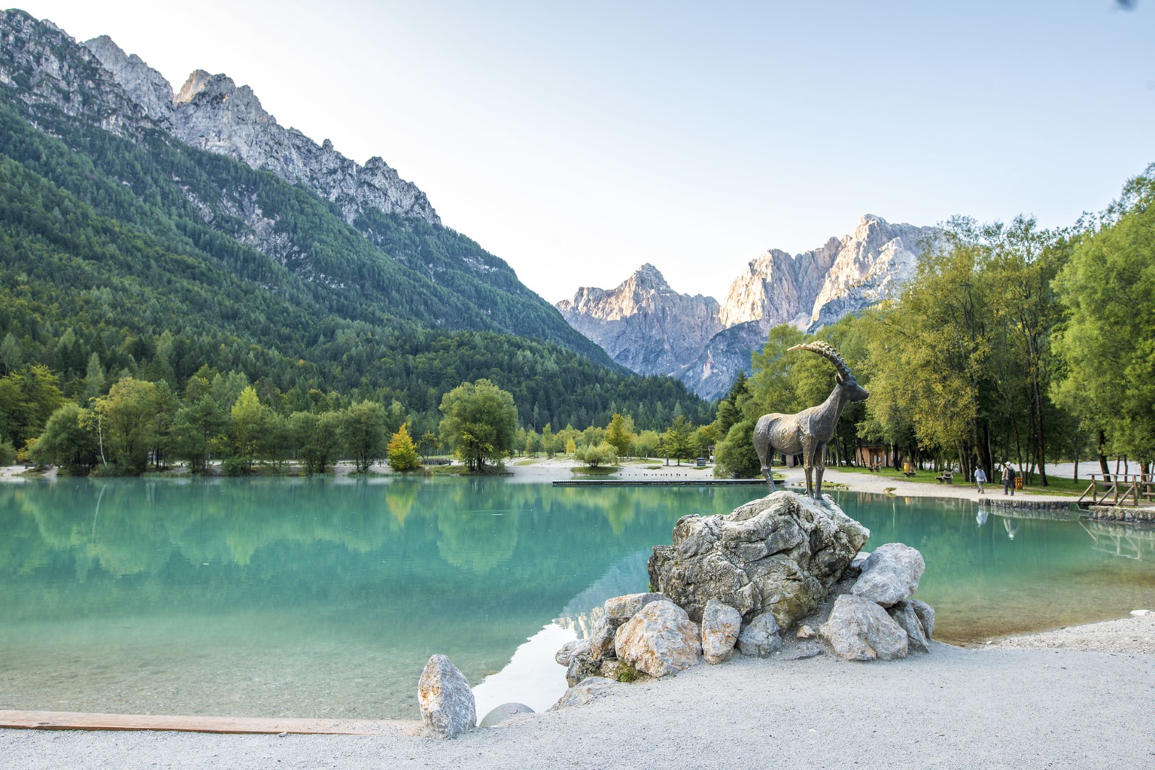 Jasna See